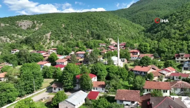 Almus’un mutfak mirası: Gelenekten geleceğe tadına doyulmaz yöresel lezzetler