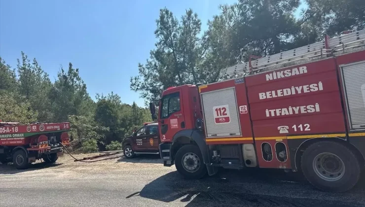 Tokat’ın Niksar ilçesinde çıkan orman yangını kısa sürede söndürüldü