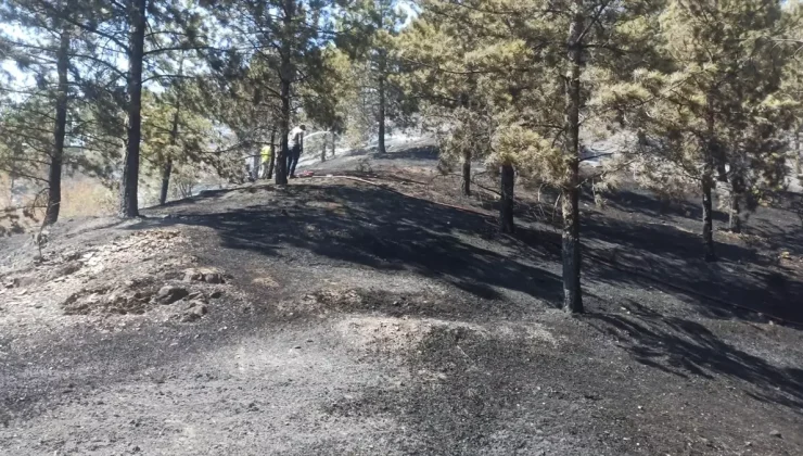 Tokat’ın Turhal ilçesinde çıkan orman yangını söndürüldü