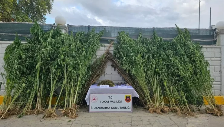 Tokat’ta Uyuşturucu Operasyonunda 4 Kişi Gözaltına Alındı