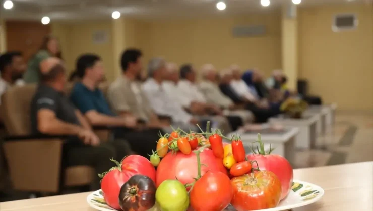 Tokat Gaziosmanpaşa Üniversitesi’nde Domates Konulu Söyleşi Düzenlendi